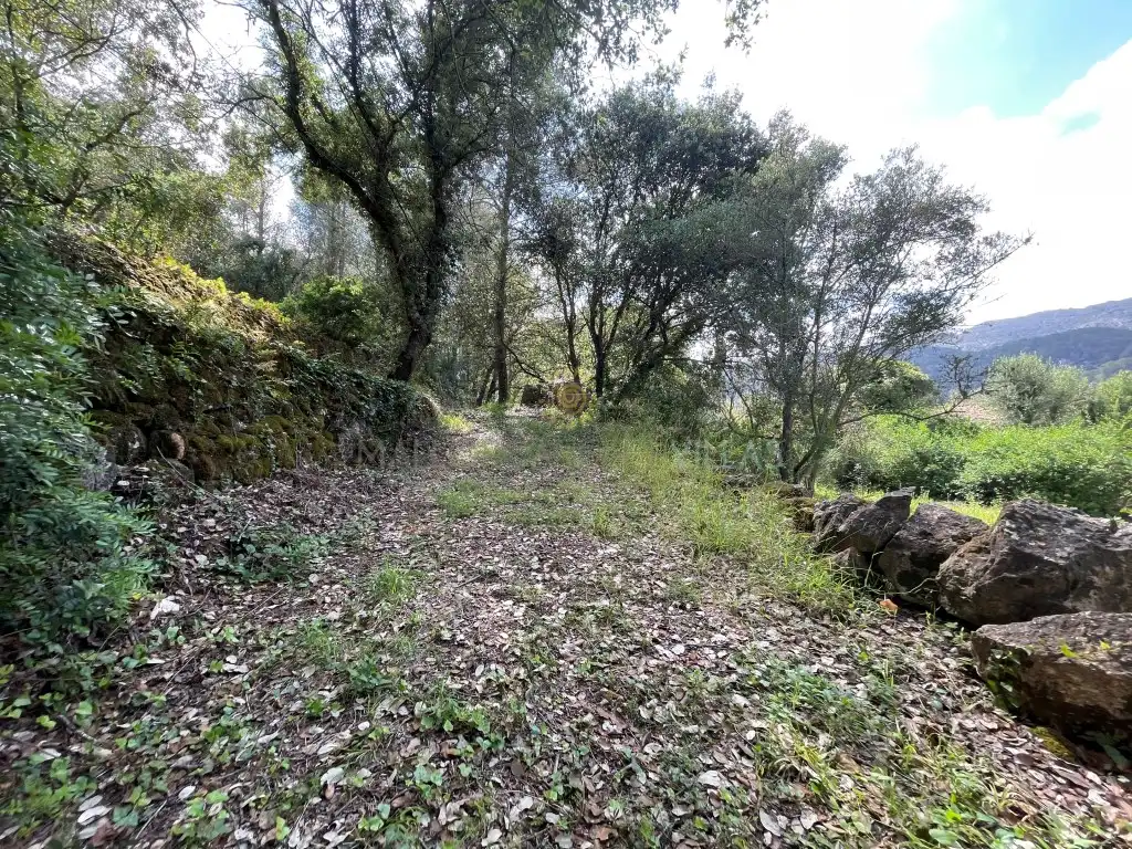 Casa in vendita a Pollença Poble, imagen 16