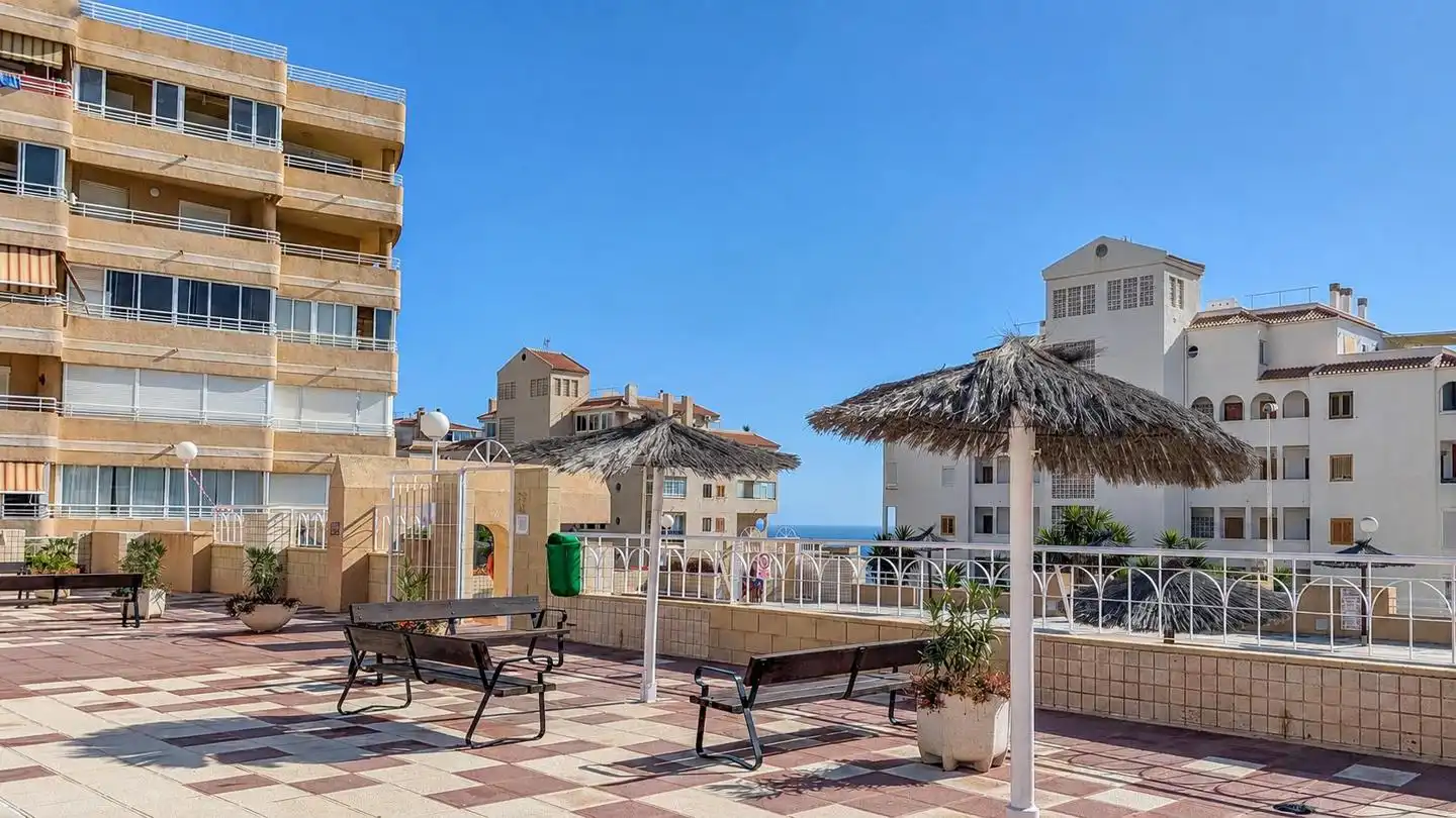 Terrace of Detached homes for sale in Elche / Elx  with Terrace, Storage room and Swimming Pool