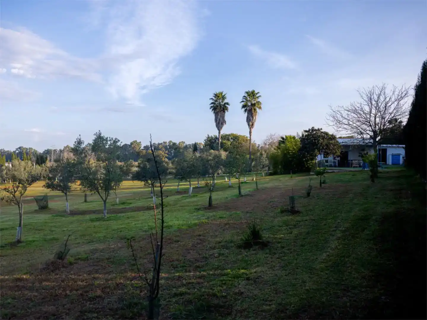 Finca rústica en venda en Jerez de la Frontera amb Jardí privat