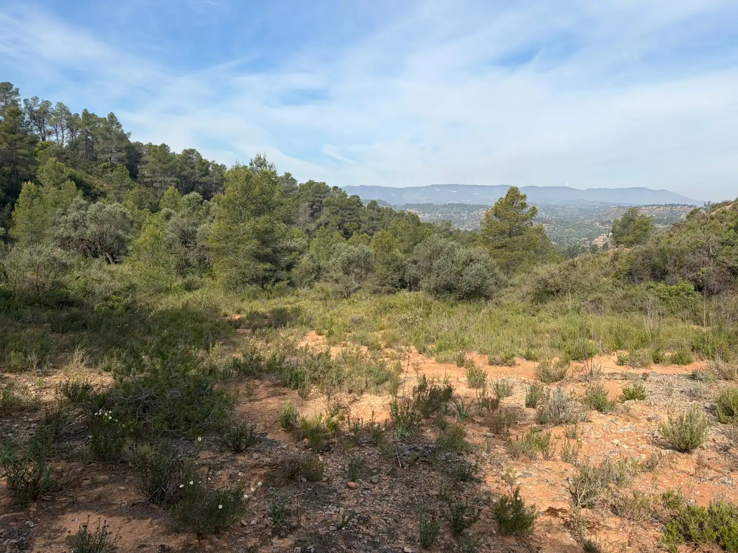 Terreno rustico in vendita a Ascó, imagen 3