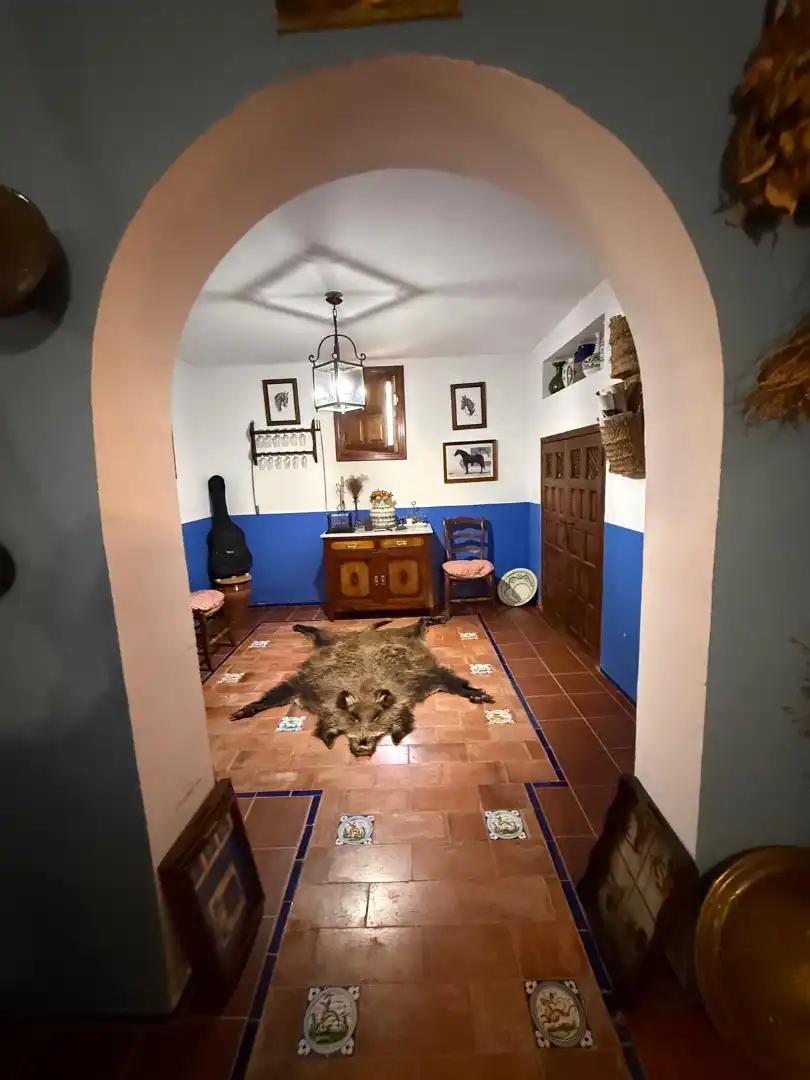 Casa o xalet en venda a El Brillante -El Naranjo - El Tablero