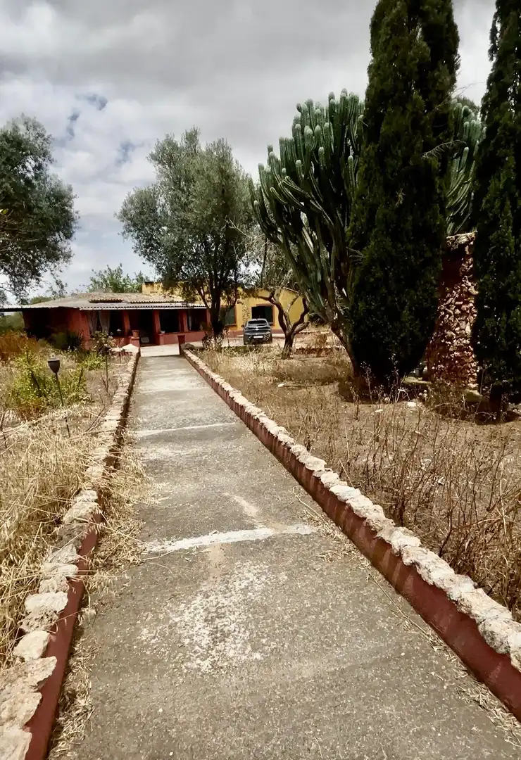 Casa rustica in vendita a Algaida, imagen 17