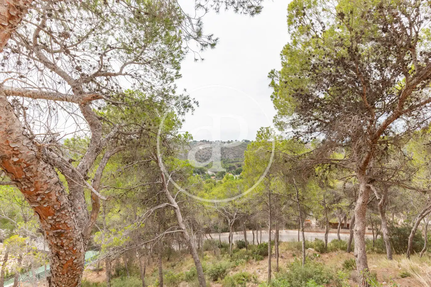Wohnbaugrundstück zum Verkauf in El Bosque, imagen 23