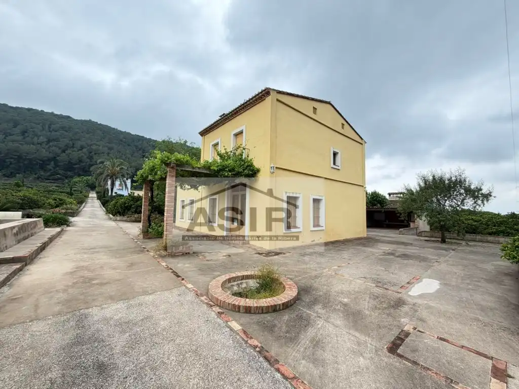 Exterior view of Houses for rent in Alzira  with Terrace and Swimming Pool