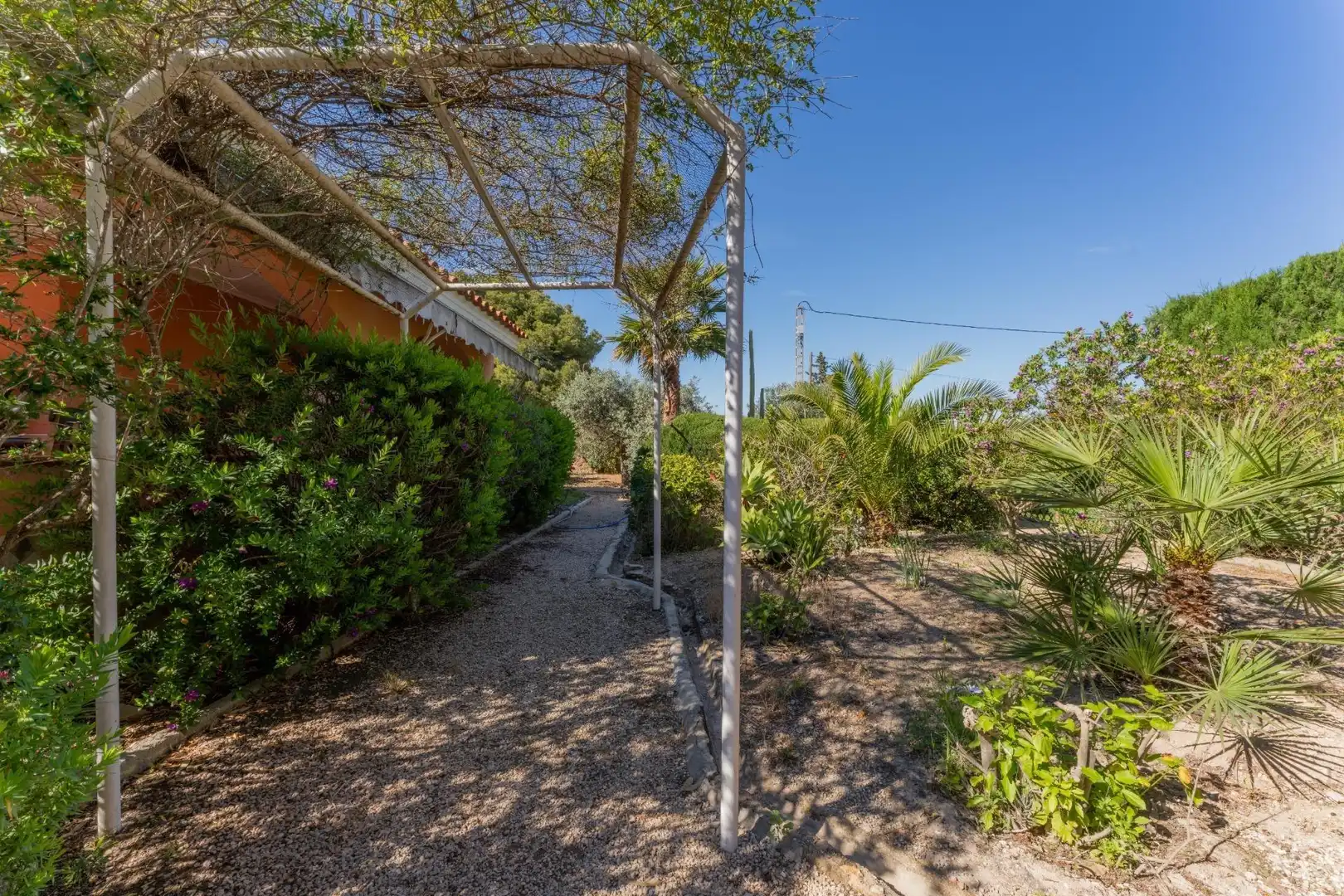 Vista exterior de Casa o chalet en venta en Elche / Elx con Jardín privado, Terraza y Piscina