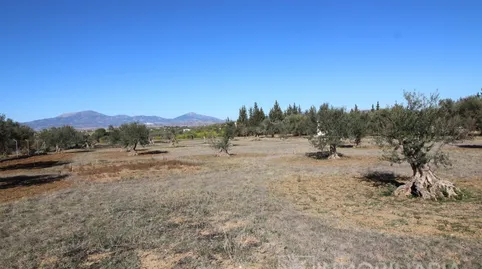 Foto 5 de Finca rústica en venta en Urbanizacion Carretera de Cartama, Centro, Alhaurín El Grande
