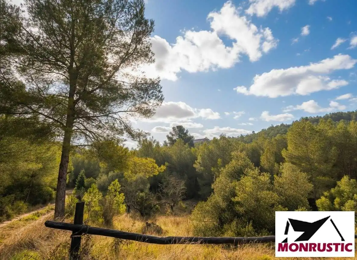 Finca rústica en venda en Masllorenç