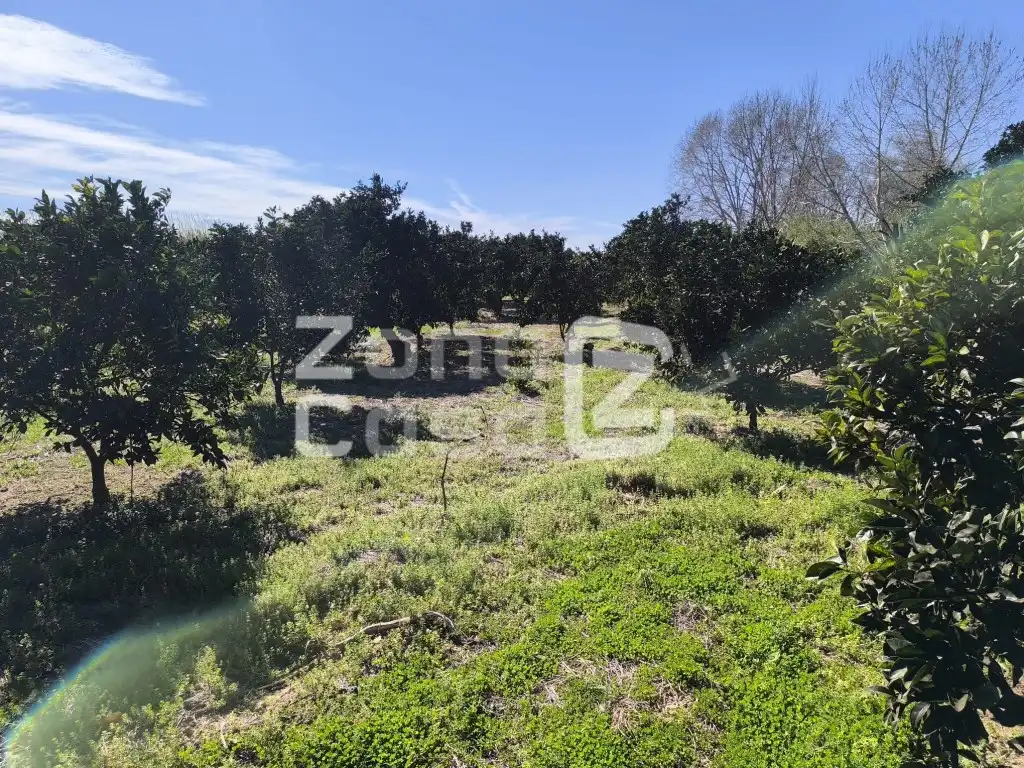 Country house for sale in Partida Barqueta La