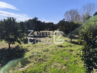 Country house for sale in Partida Barqueta La