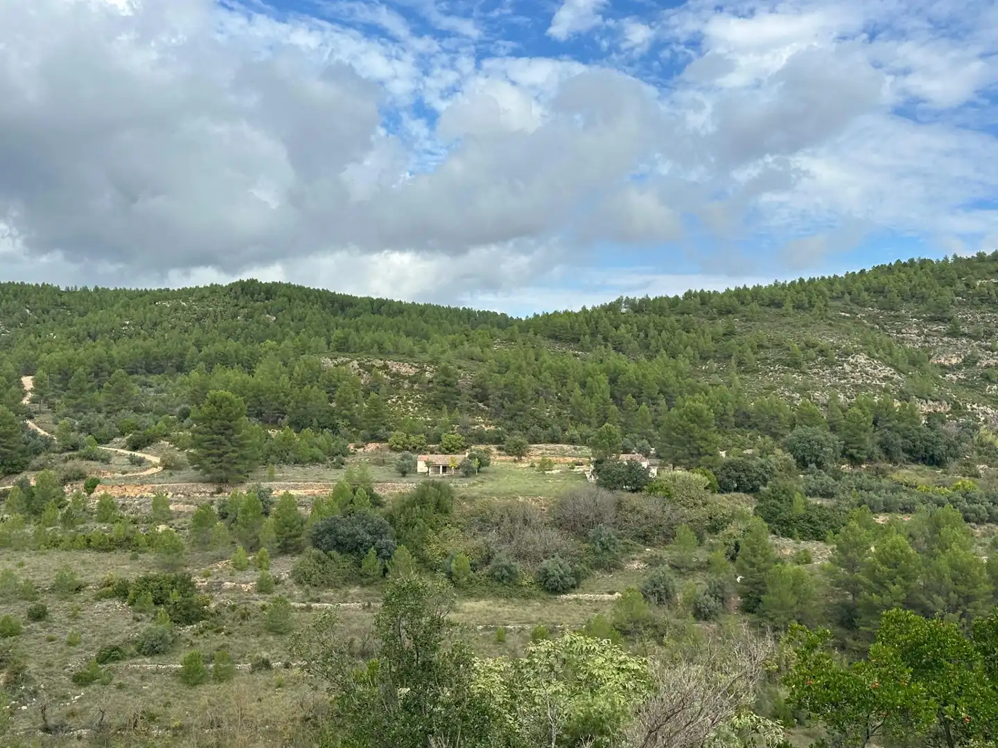 Finca rústica en venta en Enguera