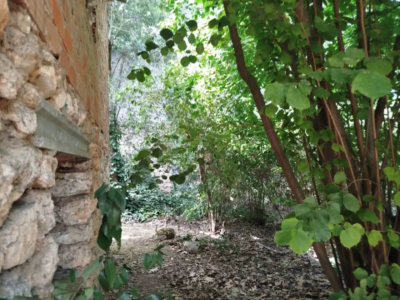 Jardí de Casa o xalet en venda en Ruidera amb Jardí privat