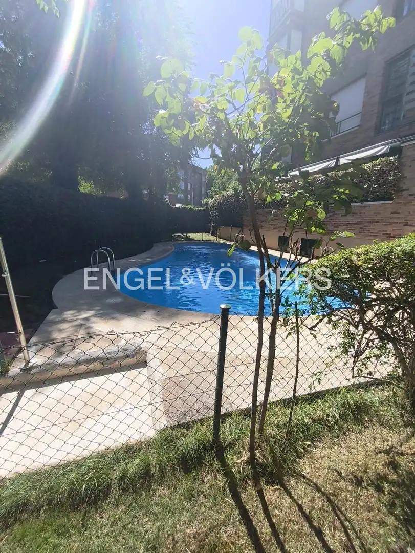 Piscina de Pis de lloguer en Madrid amb Aire condicionat, Calefacció i Jardí privat