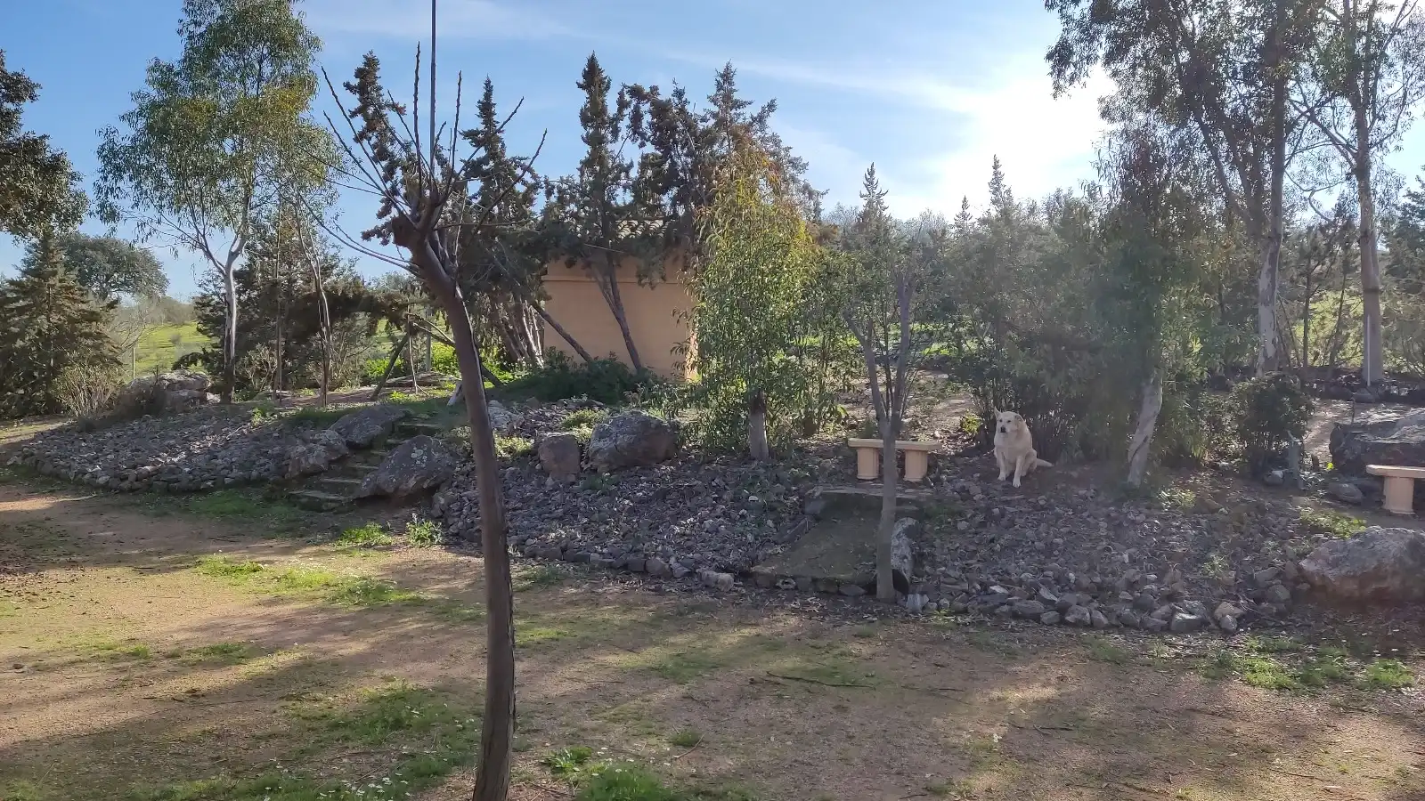 Xalet en venda a Villalba de los Barros, imagen 72
