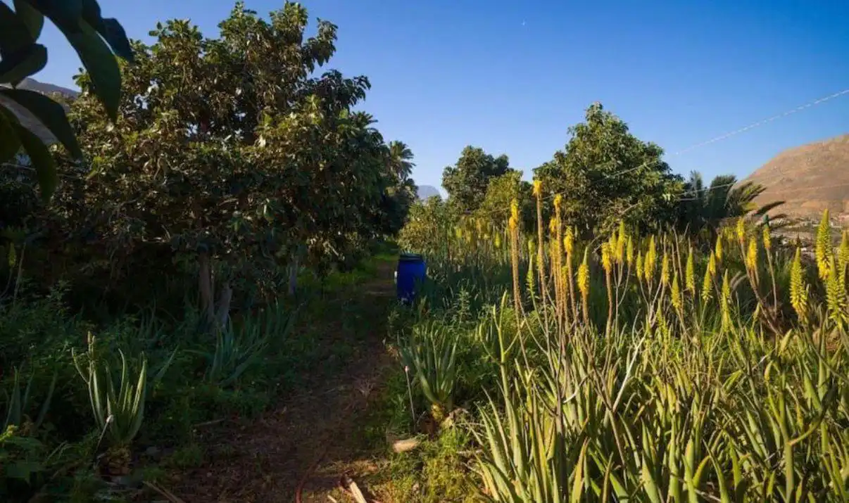 Country homes for sale in Gáldar  with Air Conditioner, Private garden and Parquet flooring