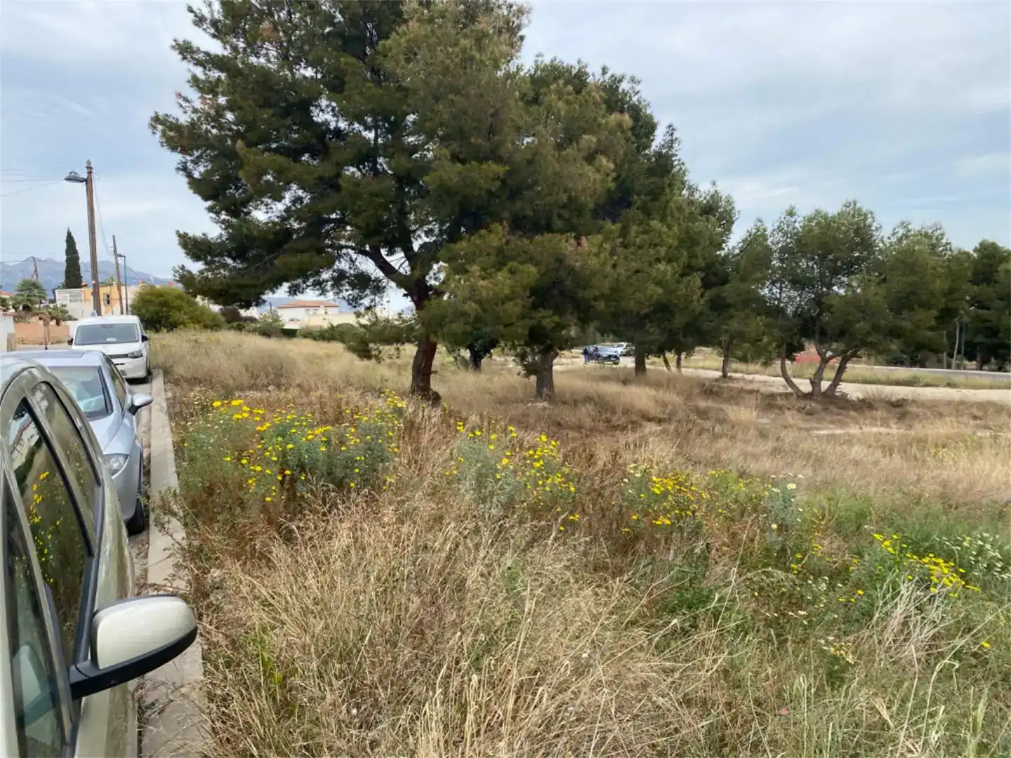 Terreno en venta en Escandinavia - Cautivador