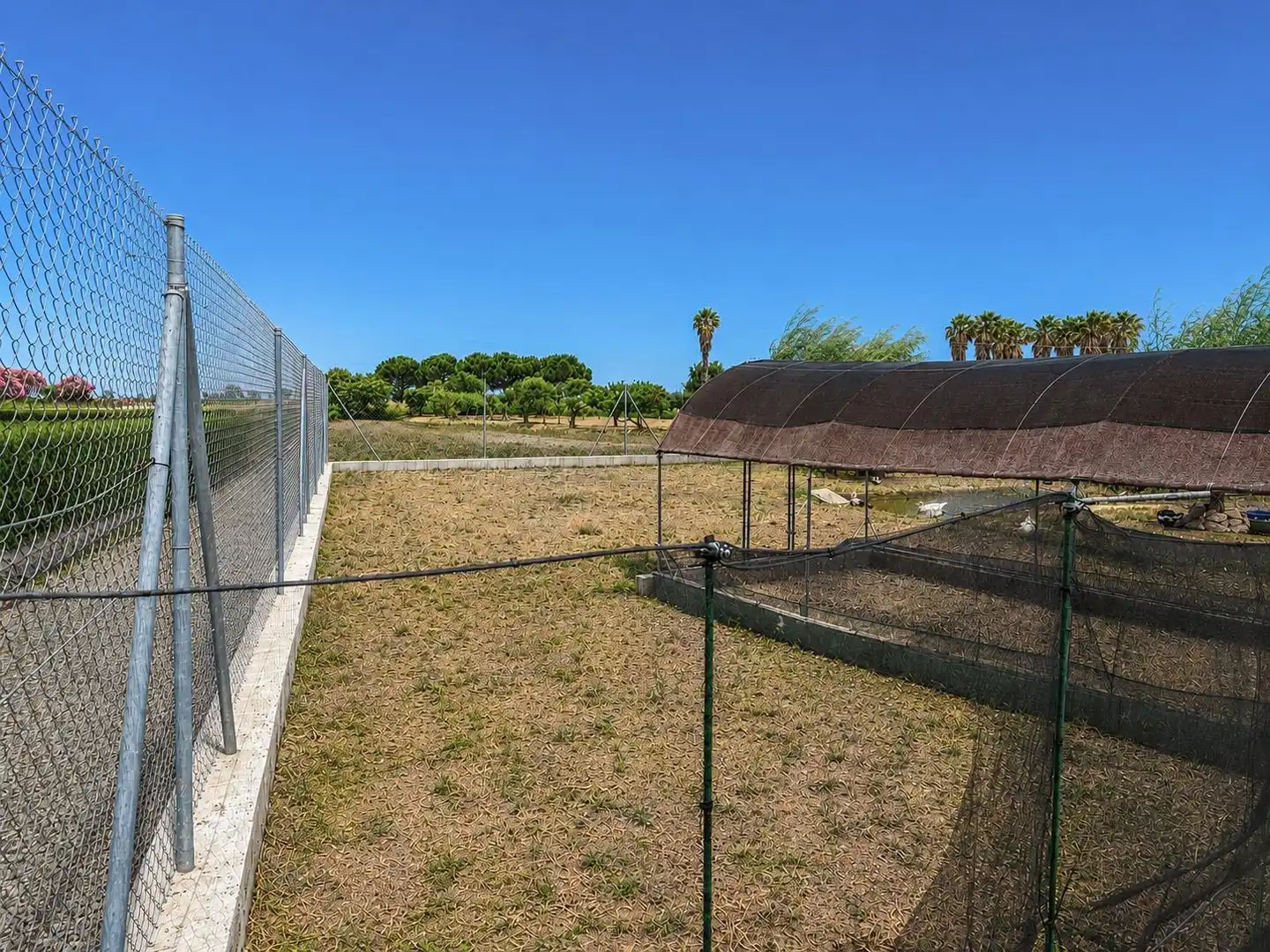 Finca rústica en venta en Amposta