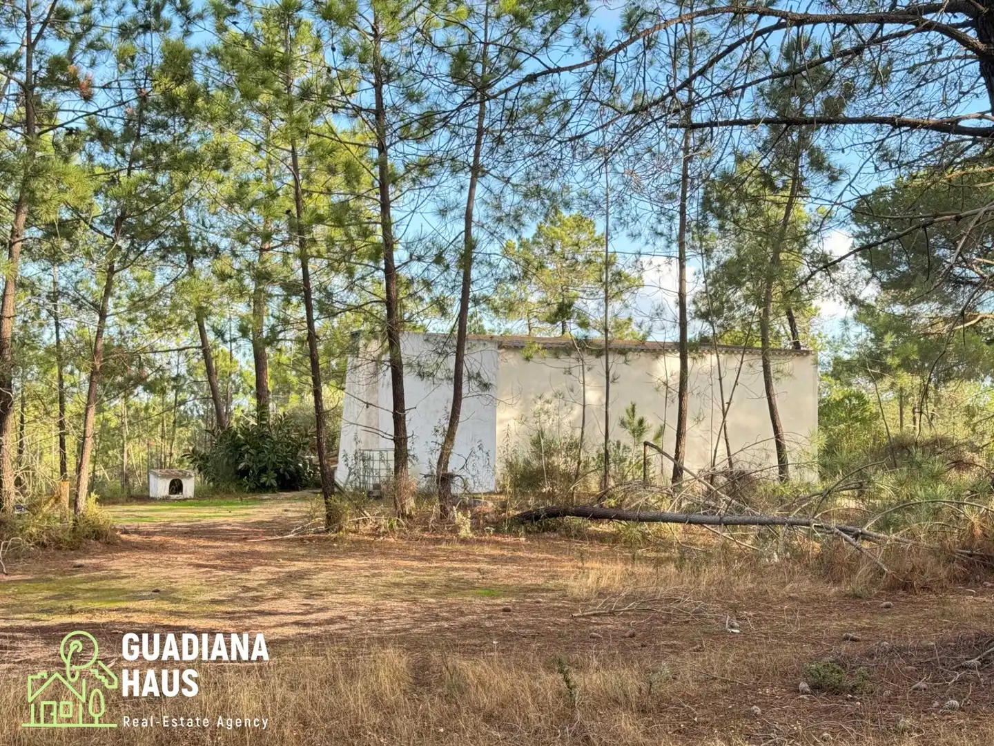Finca rústica en venda en Villablanca amb Jardí privat i Traster