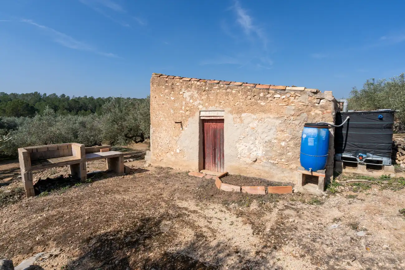 Terrain rustique à vendre à Camí Del Filato 1093, imagen 5