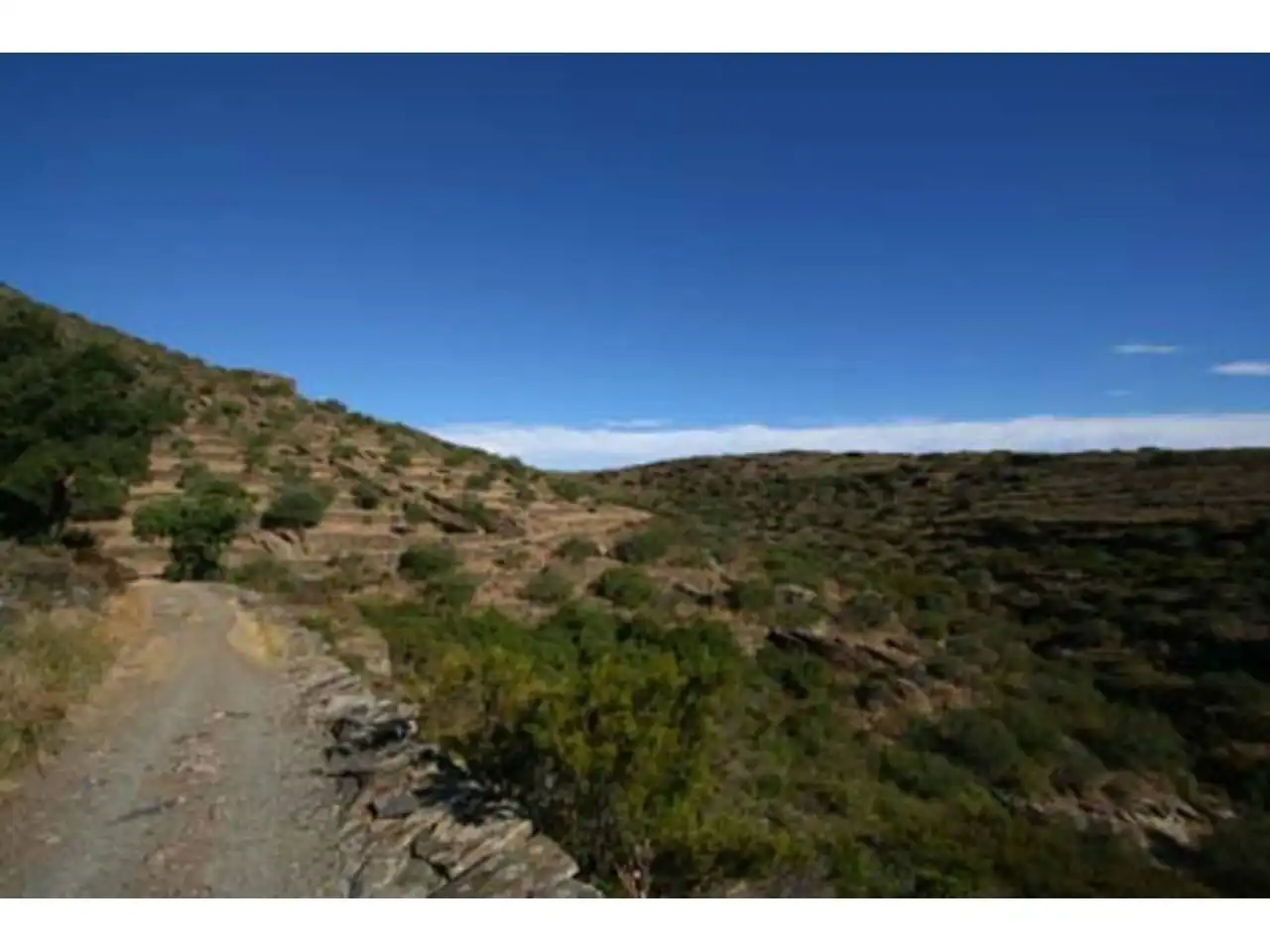 Rural land for sale in Mas de la Senyora, imagen 13
