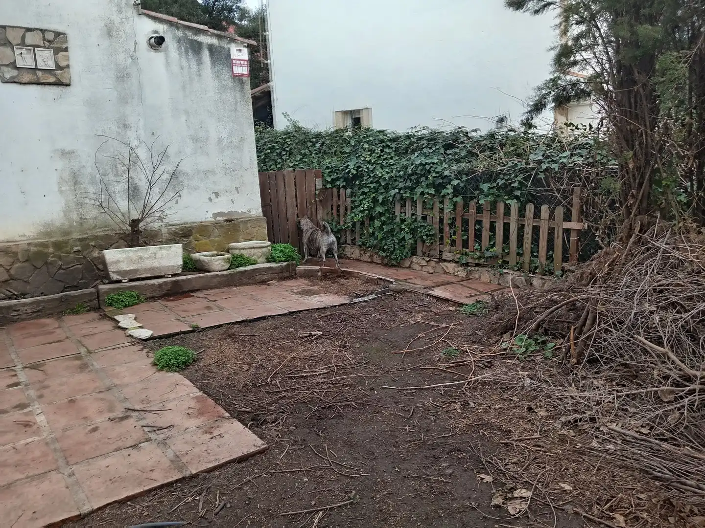 Bungalow with garden for sale in Carrer Vall De Núria, imagen 16