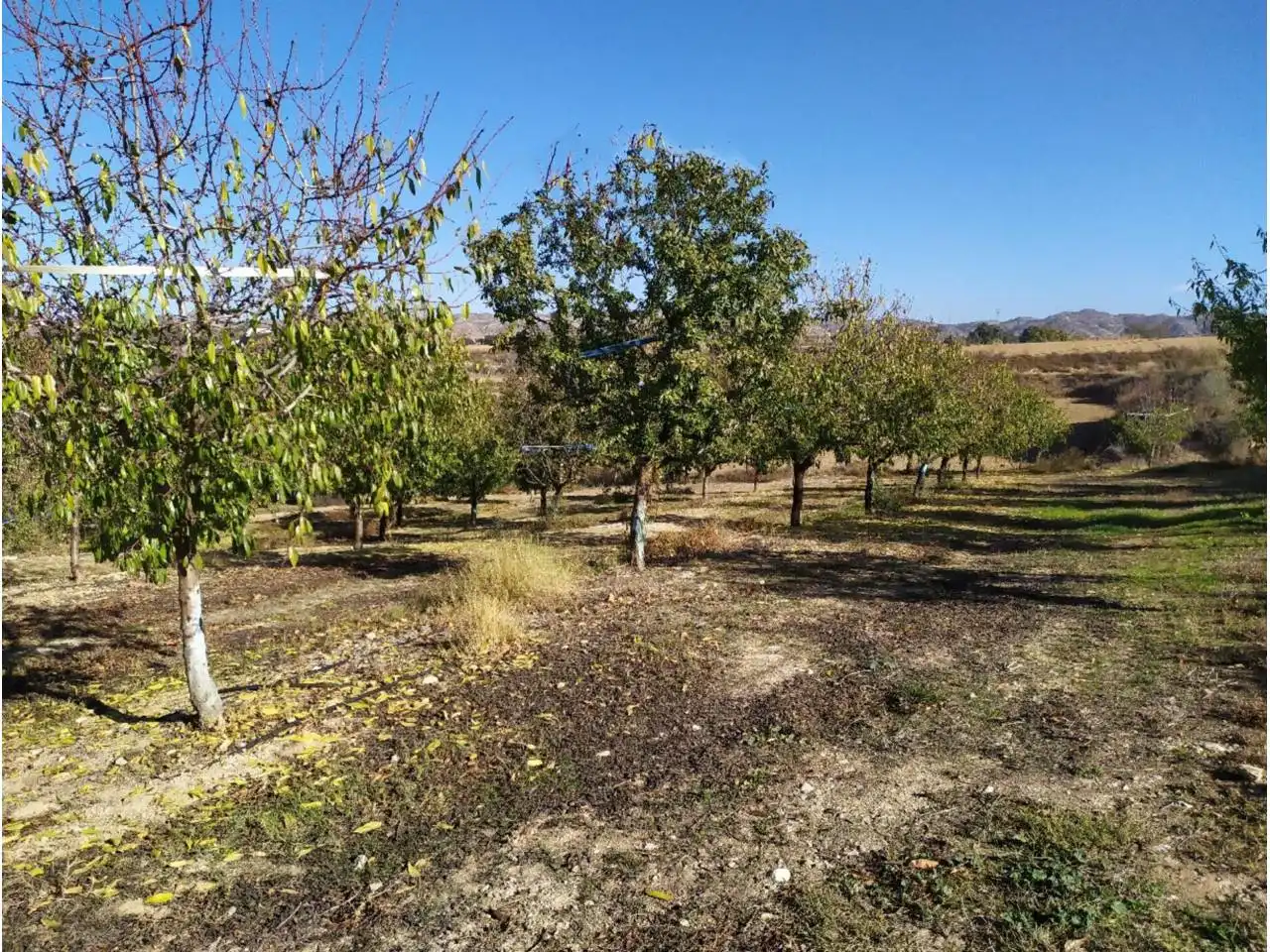 Terreno en venta en Albelda
