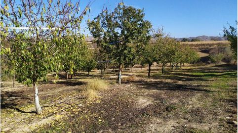 Foto 2 von Grundstücke zum Verkauf in Calle Diseminados, Albelda, Huesca