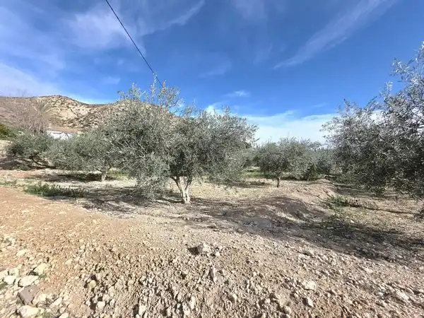 Finca rústica en venta en Huércal-Overa con Aire acondicionado, Jardín privado y Terraza