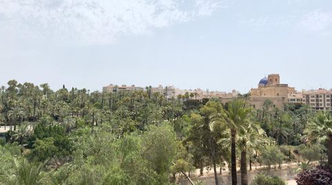 Foto 3 de Pis de lloguer a Comunitat Valenciana, Pont Nou - Corazón de Jesús, Elche / Elx