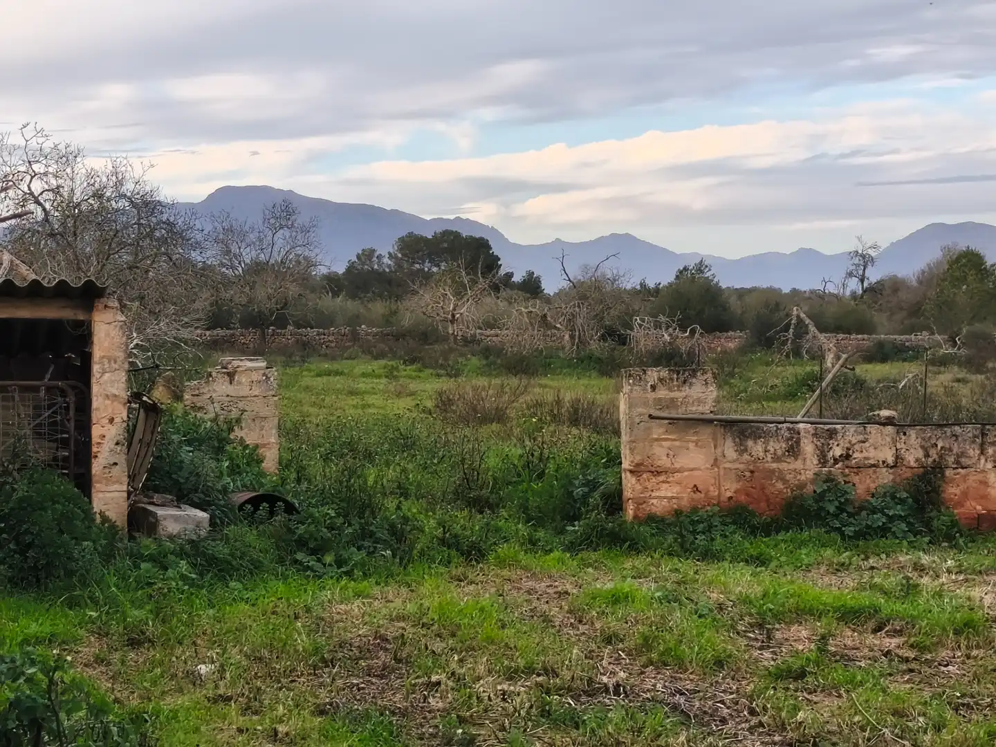 House with garden for sale in Algaida, imagen 16