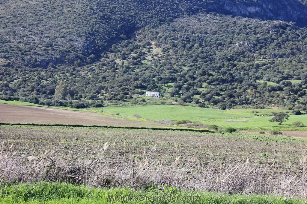 Casa rústica en venda a Algodonales, imagen 41