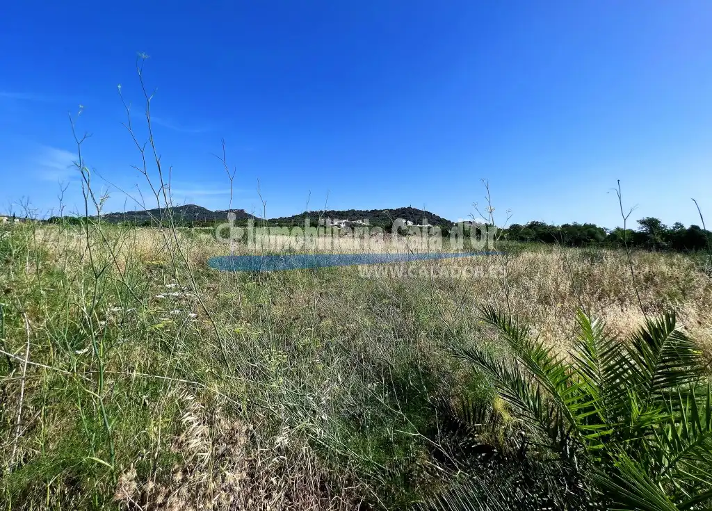 Terreny rústic en venda a S'Alquería Blanca - Calonge, imagen 7