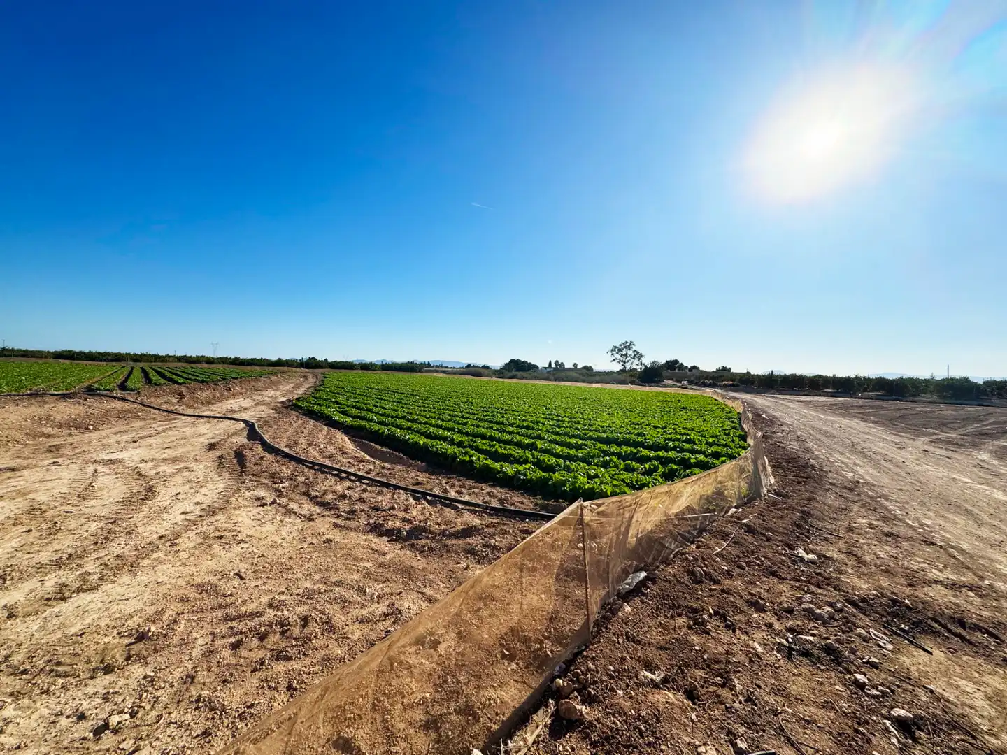 Lands and plots for sale in Diseminado Meroños 175, imagen 12