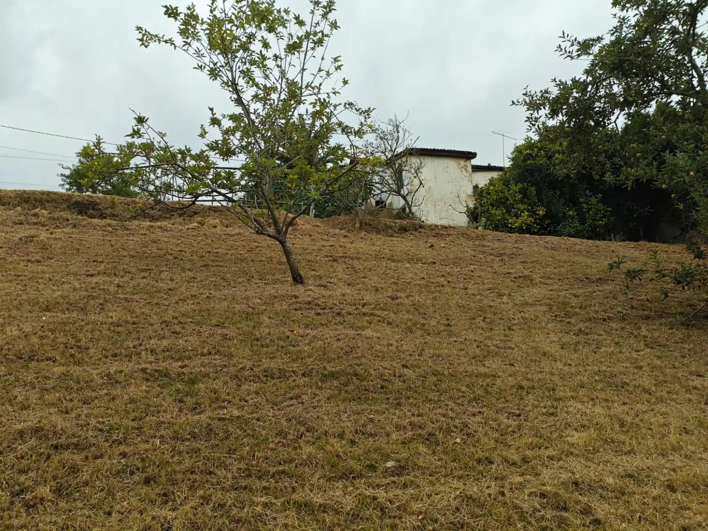 Houses for sale in Castrillón
