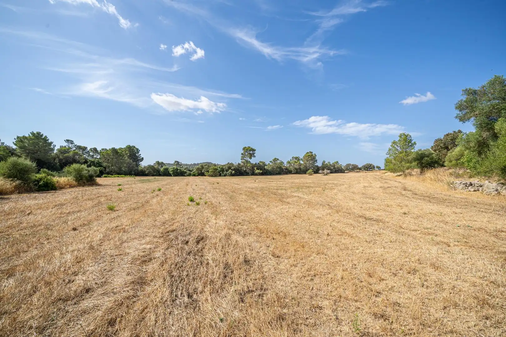 Terrain rustique à vendre à Diseminado Son Mora 199, imagen 18
