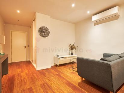 Living room of Flat to rent in  Madrid Capital  with Air Conditioner and Heating