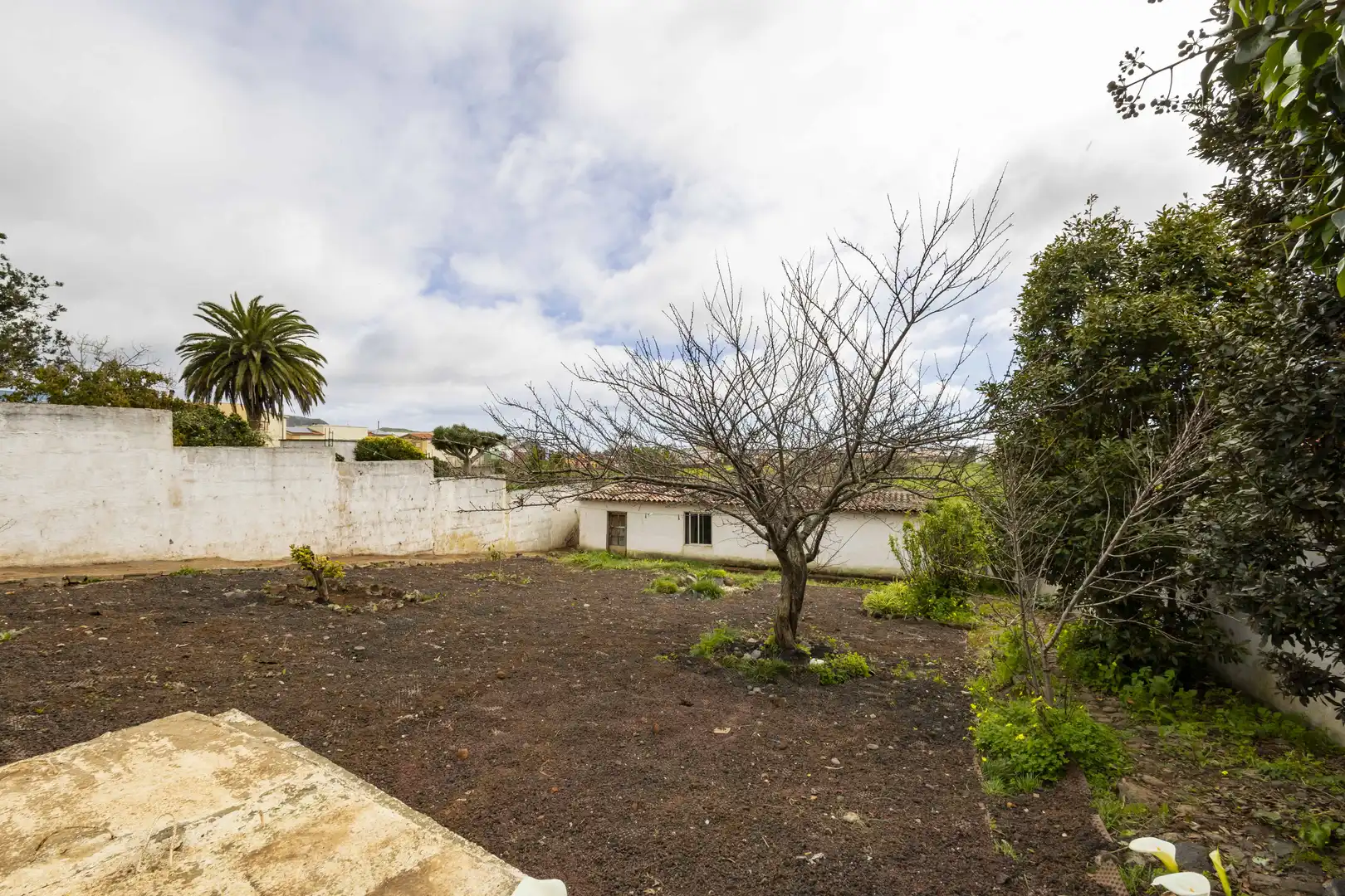 Jardín de Casa adosada en venta en San Cristóbal de la Laguna con Jardín privado y Terraza