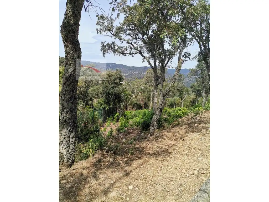 Terreno residencial en venta en Calle Avets 7, imagen 7