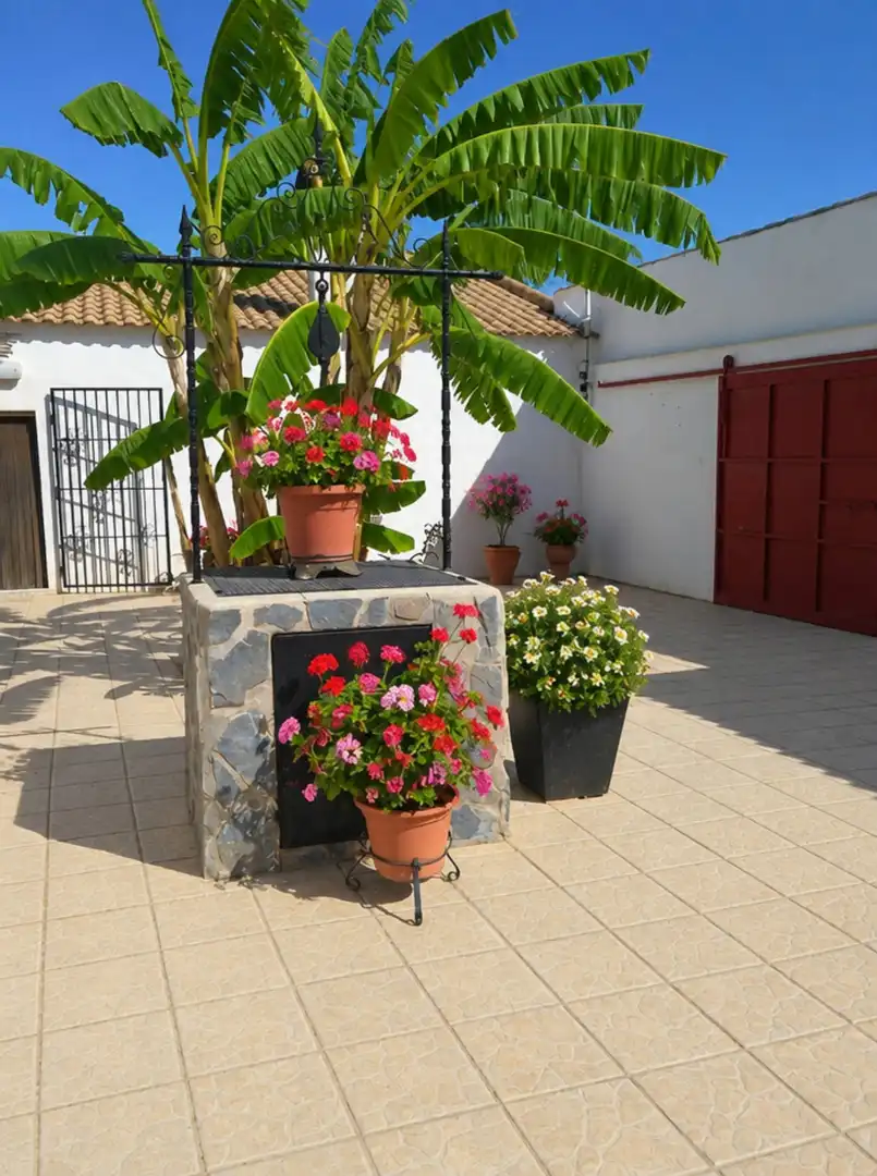 Terrassa de Finca rústica en venda en Cartagena amb Calefacció, Jardí privat i Terrassa