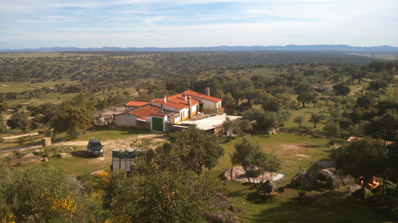 Land for sale in Navas del Madroño