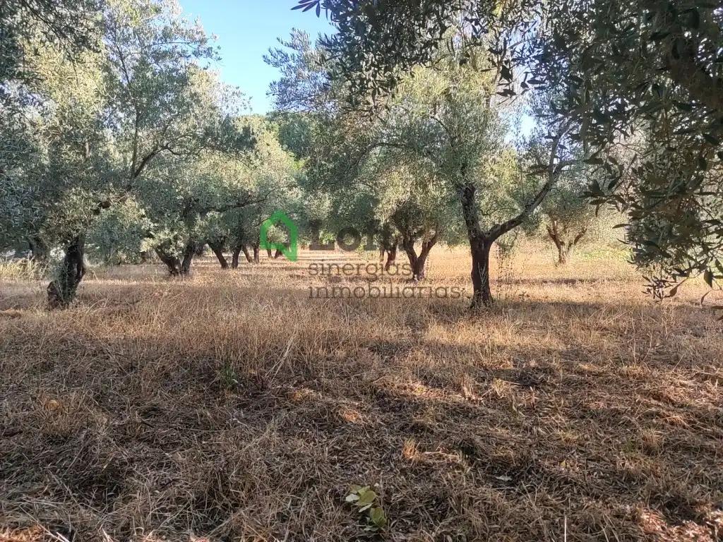 Terreno rustico in vendita a Pedanías de Badajoz, imagen 5