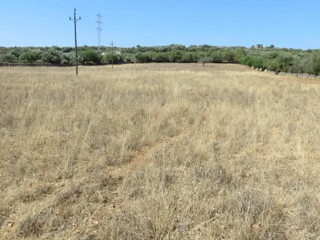 Residencial en venta en Campos