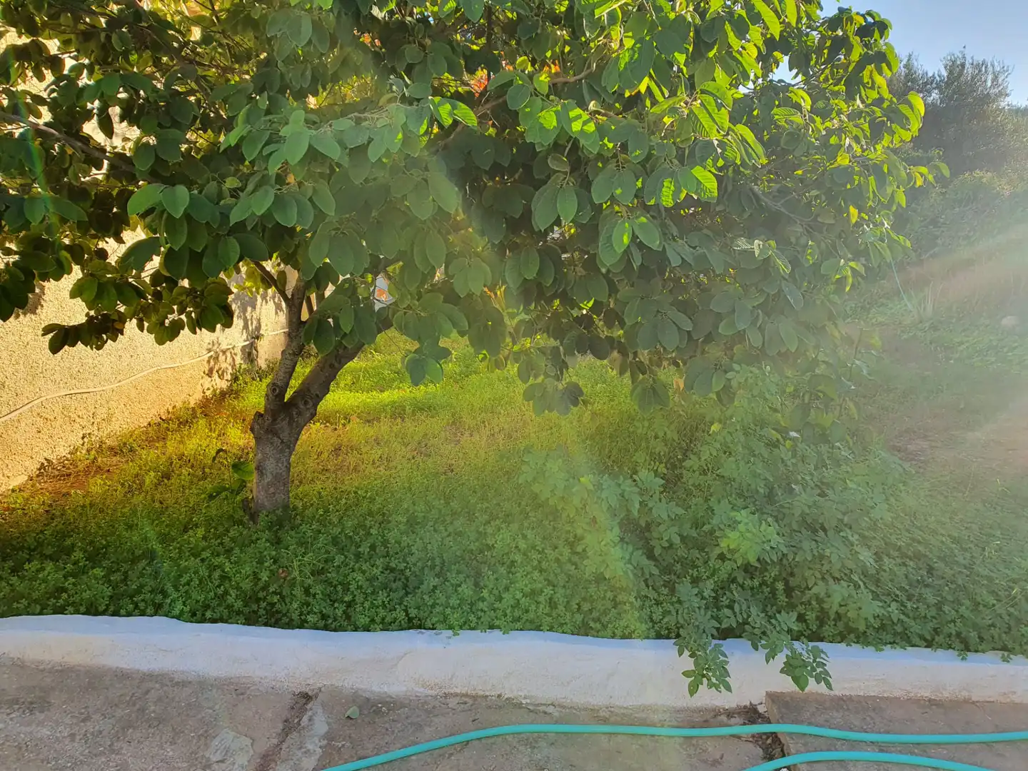 Casa rústica con piscina en venta en Buenavista - Lauro Golf, imagen 3