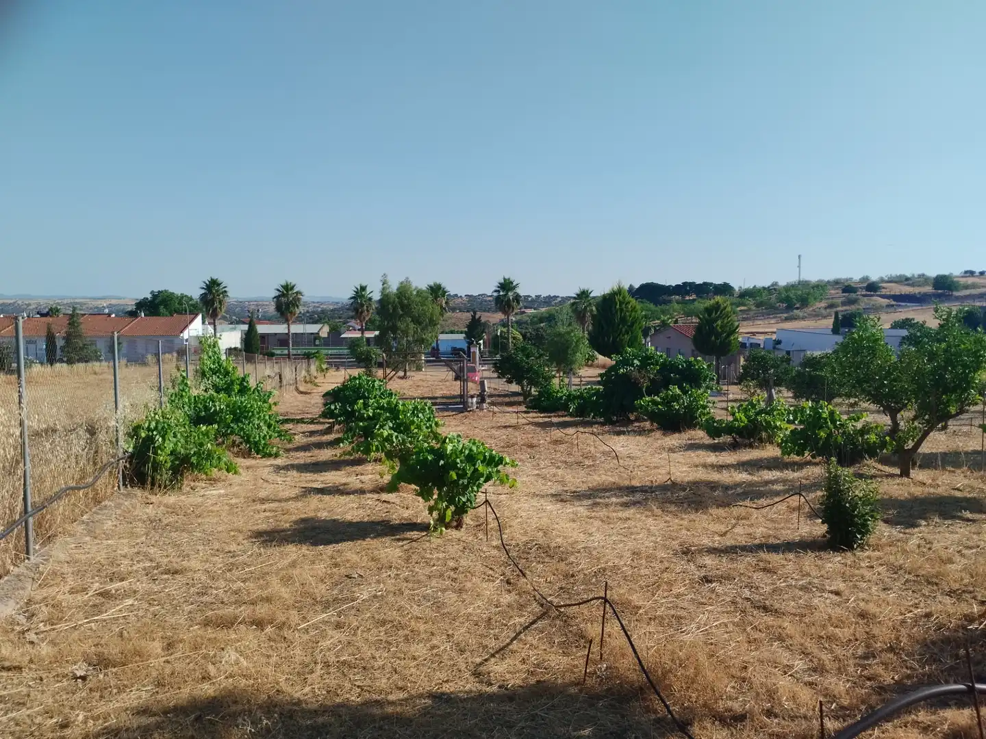 Finca rústica en venda en Atalaya amb Jardí privat i Traster