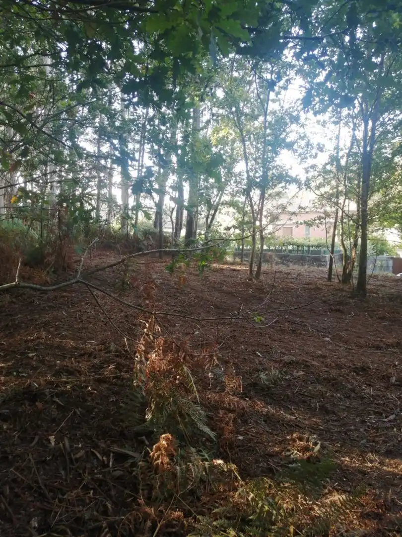 Finca rústica en venta en Ponteareas