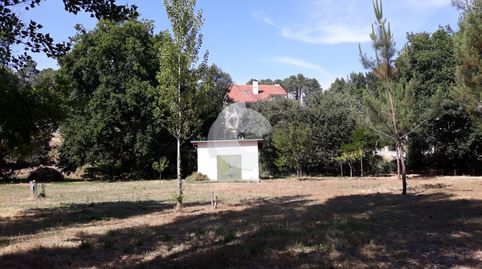 Finca rústica de 5.000m2 con galpón en Rairo.