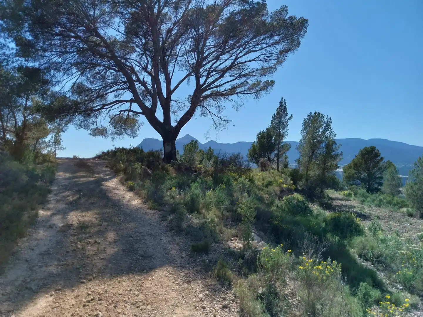 Terreno rustico in vendita a Lugar Castillo, imagen 55
