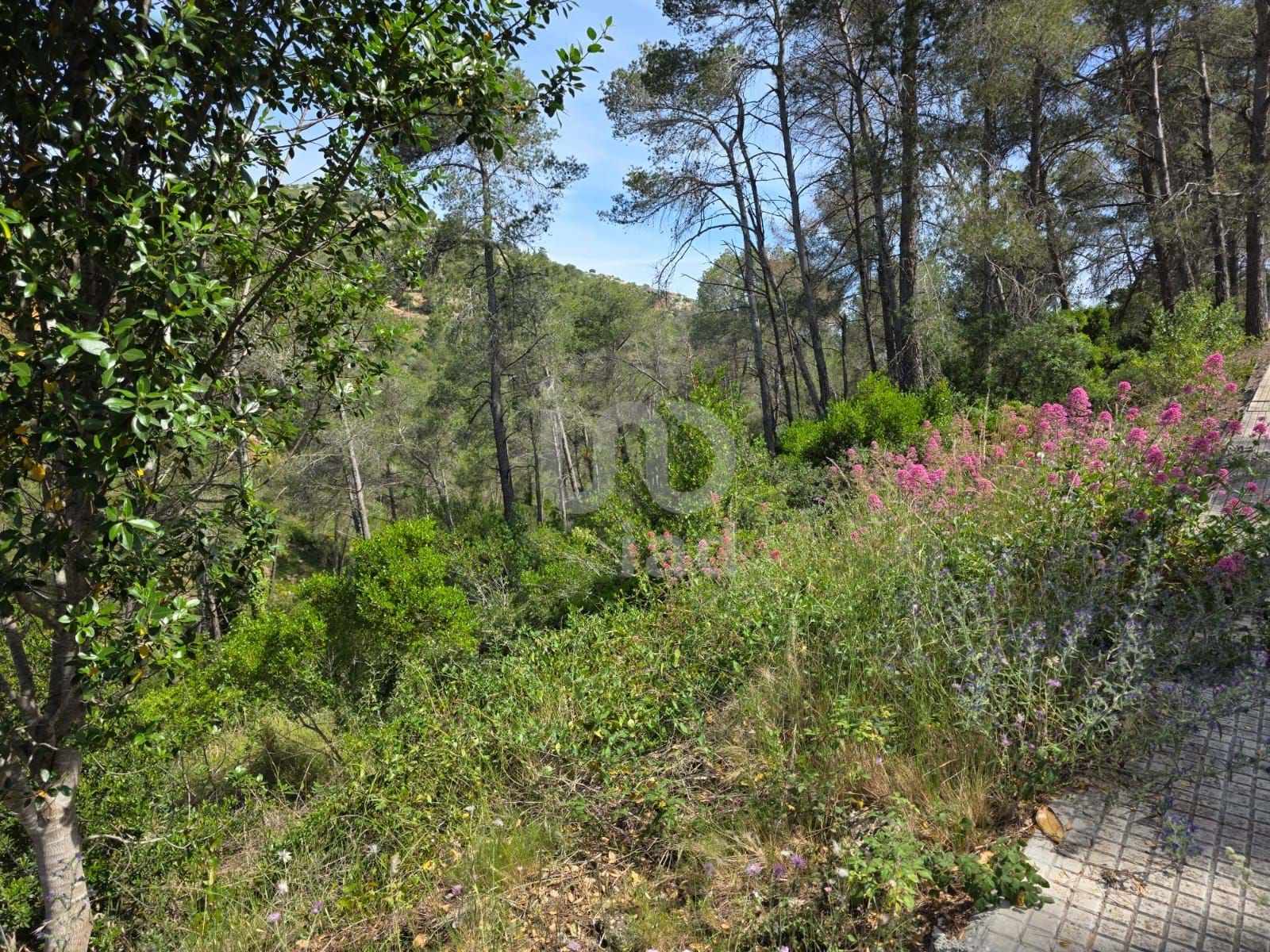 Residencial en venda en Olesa de Bonesvalls