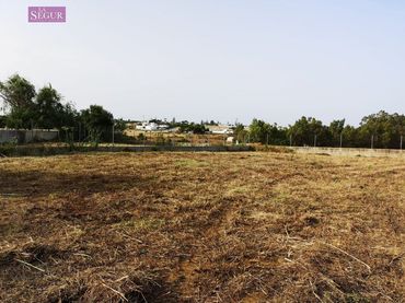 Terreno rustico in vendita a Conil