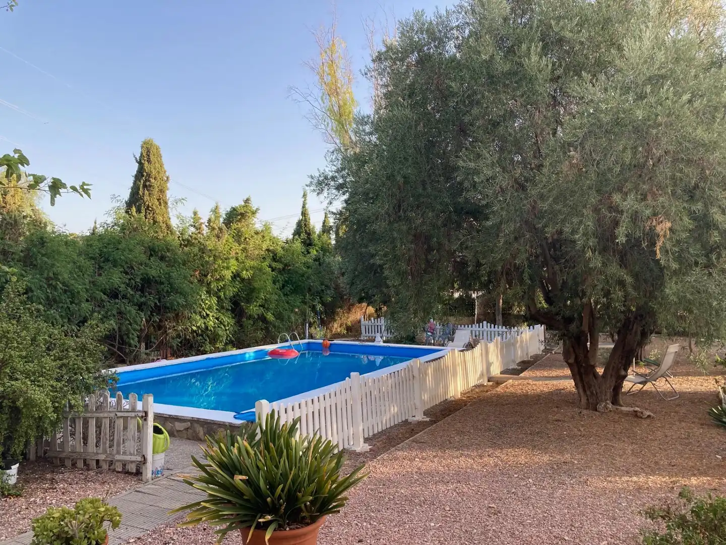 Piscina de Casa o chalet en venta en San Vicente del Raspeig / Sant Vicent del Raspeig con Aire acondicionado, Calefacción y Jardín privado