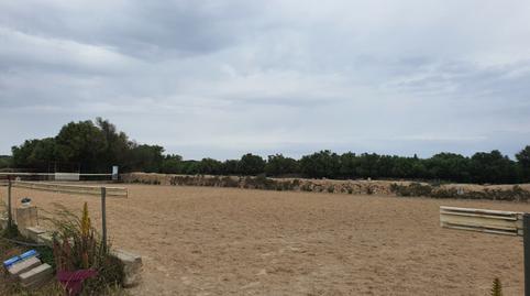 Photo 3 of Land for sale in Trebalúger, Illes Balears